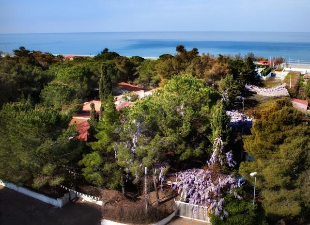 Villaggio La Pantera Rosa Scalea Exteriör bild